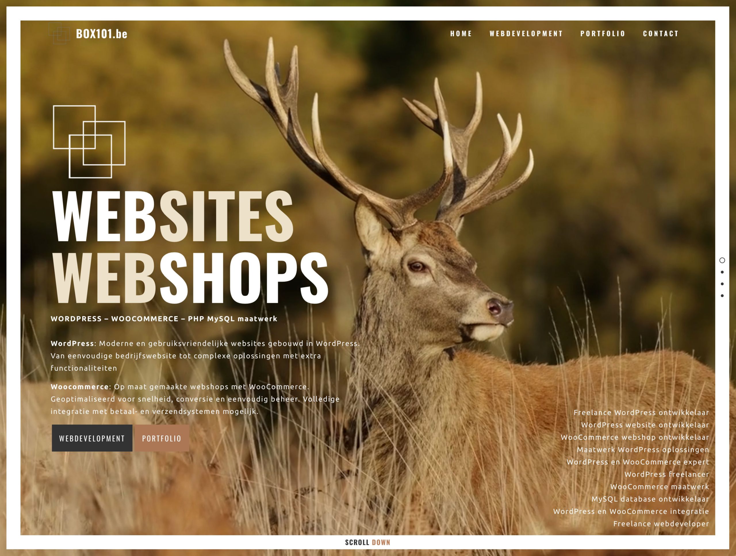 WordPress website laten maken in Schilde - BOX101 Webdesign
